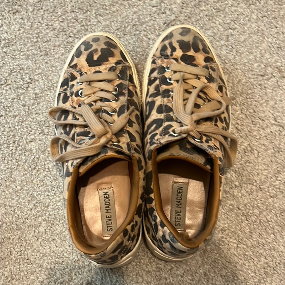 Steve Madden Leopard Print Sneakers